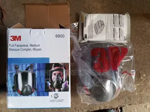 Full Face Mask