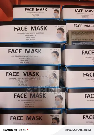 Disposable Face Mask