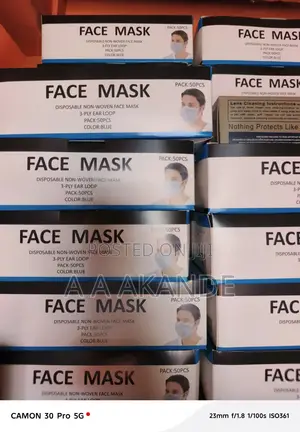 Disposable Face Mask