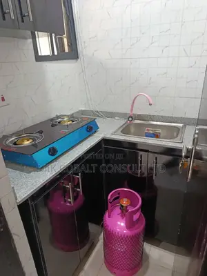 Furnished Studio Apartment in Naf Valley, Asokoro for rent