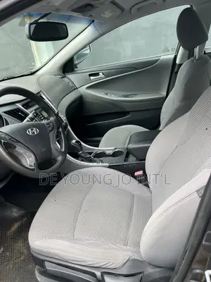 Hyundai Sonata 2012 Gray