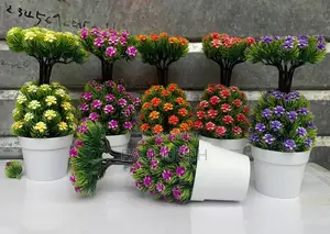 Flower to Beautiful the Home