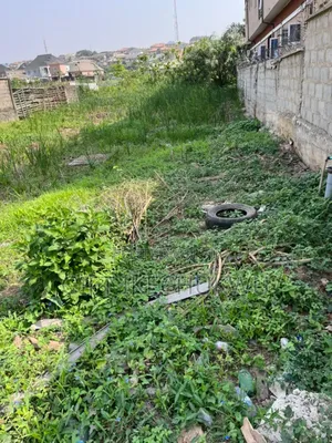 A Plot of Land