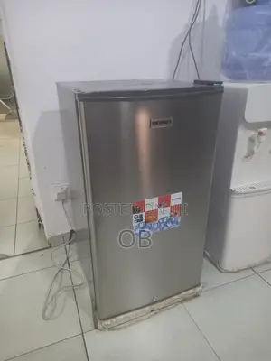 Skyrun Fridge With Freezer