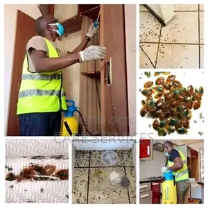 Bedbugs Cockroaches Professional Fumigation