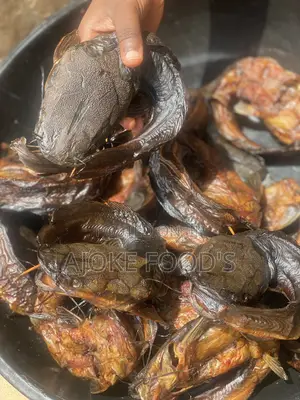 Ovendry Catfish