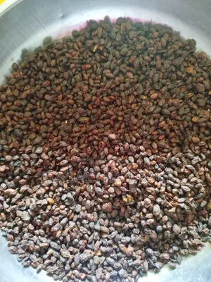Sea Buckthorn Berries