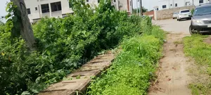 A Plot Of Land At Lonex Garden Estate Opic[ By Chanels Tv]