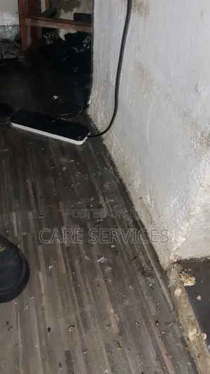 Cockroaches /Bedbugs Control Services