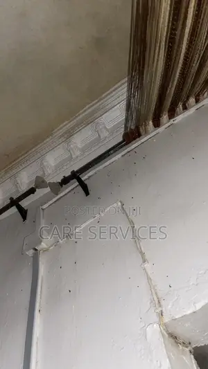 Cockroaches /Bedbugs Control Services