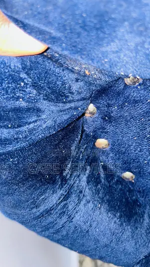 Cockroaches /Bedbugs Control Services