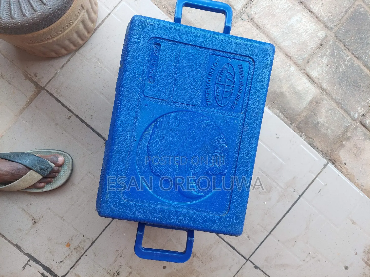 Thermolineo Coolers