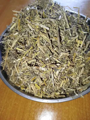 Alfalfa Stem 100g