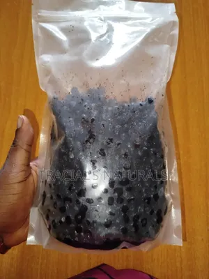 Wild Blueberry Fruit 500g