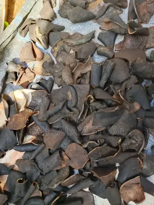 Ponmo Ijebu