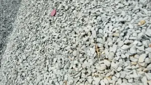 Graniteware and Mining Chipping