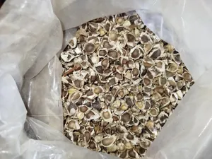 Moringa Seeds 1kg