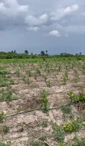 1plot Of Land Along Ijebu Ode-ikorodu Road