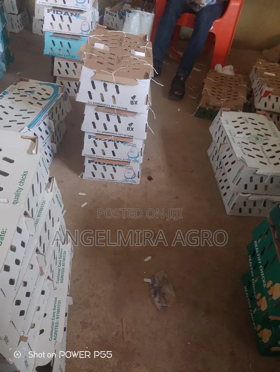 Quality Broilers