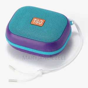 High Power Quality T G Speaker