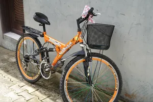 Adult Bicycle for Sale