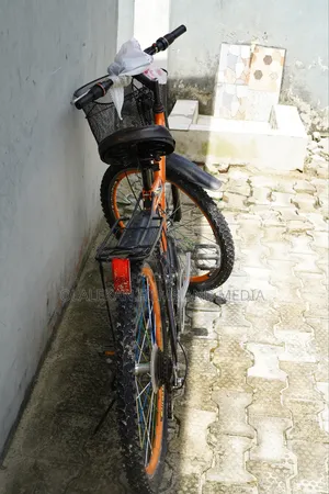 Adult Bicycle for Sale