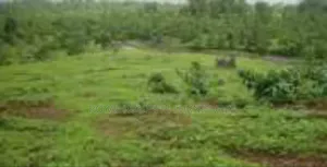 3000+ Plots Of Land With C Of O