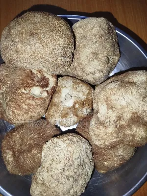 Lions Mane Mushrooms 100g
