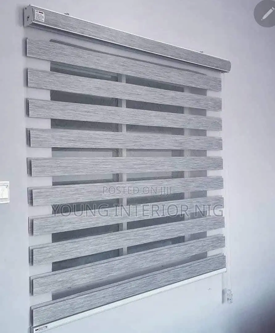 Executive Day and Night Window Blinds