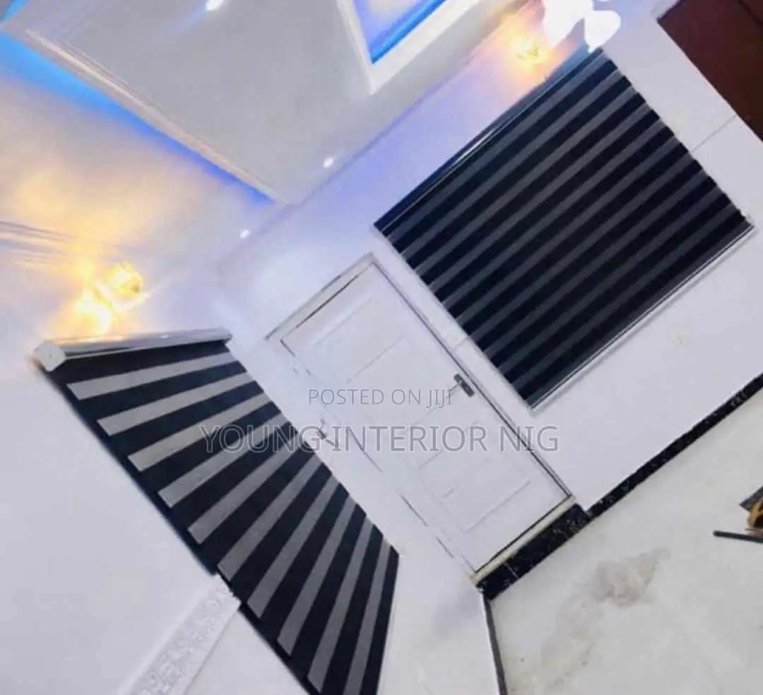 Executive Day and Night Window Blinds