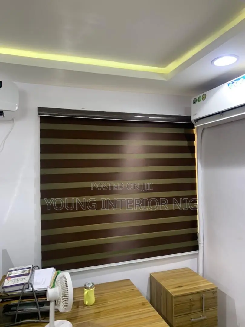 Executive Day and Night Window Blinds