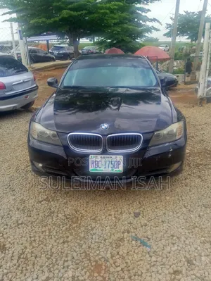 BMW 320i Sedan RWD 2010 Blue