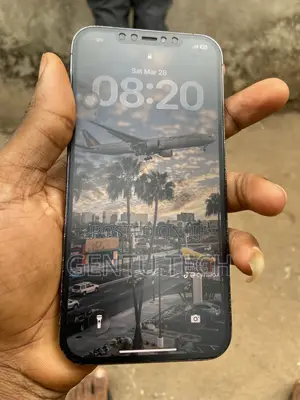Apple iPhone 12 Pro Max 128 GB Gray