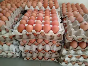 A Crate of Big Healthy Eggs