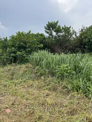 Smart Investors Choice_wealdom Garden Phase 2