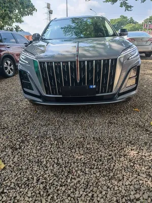 New Hongqi E-HS3 2023 Gray