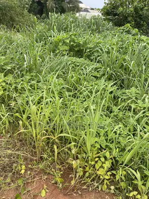 Land Investment Opportunity in Simawa_wealdom Garden Phase