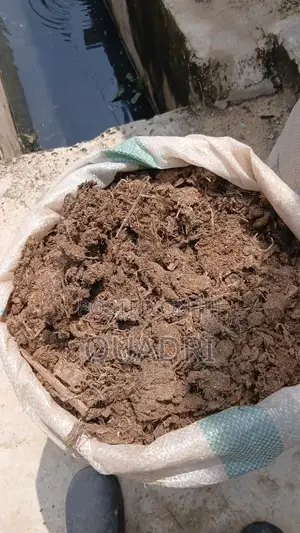 The Secret to Richer Soil Bigger Harvests Is Organic