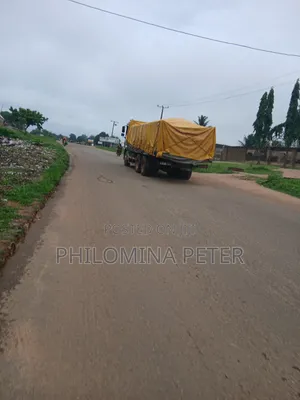 Distributor of Dangote and Bua Cement Nationwide