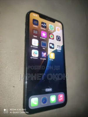 Apple iPhone 11 Pro Max 256 GB Black