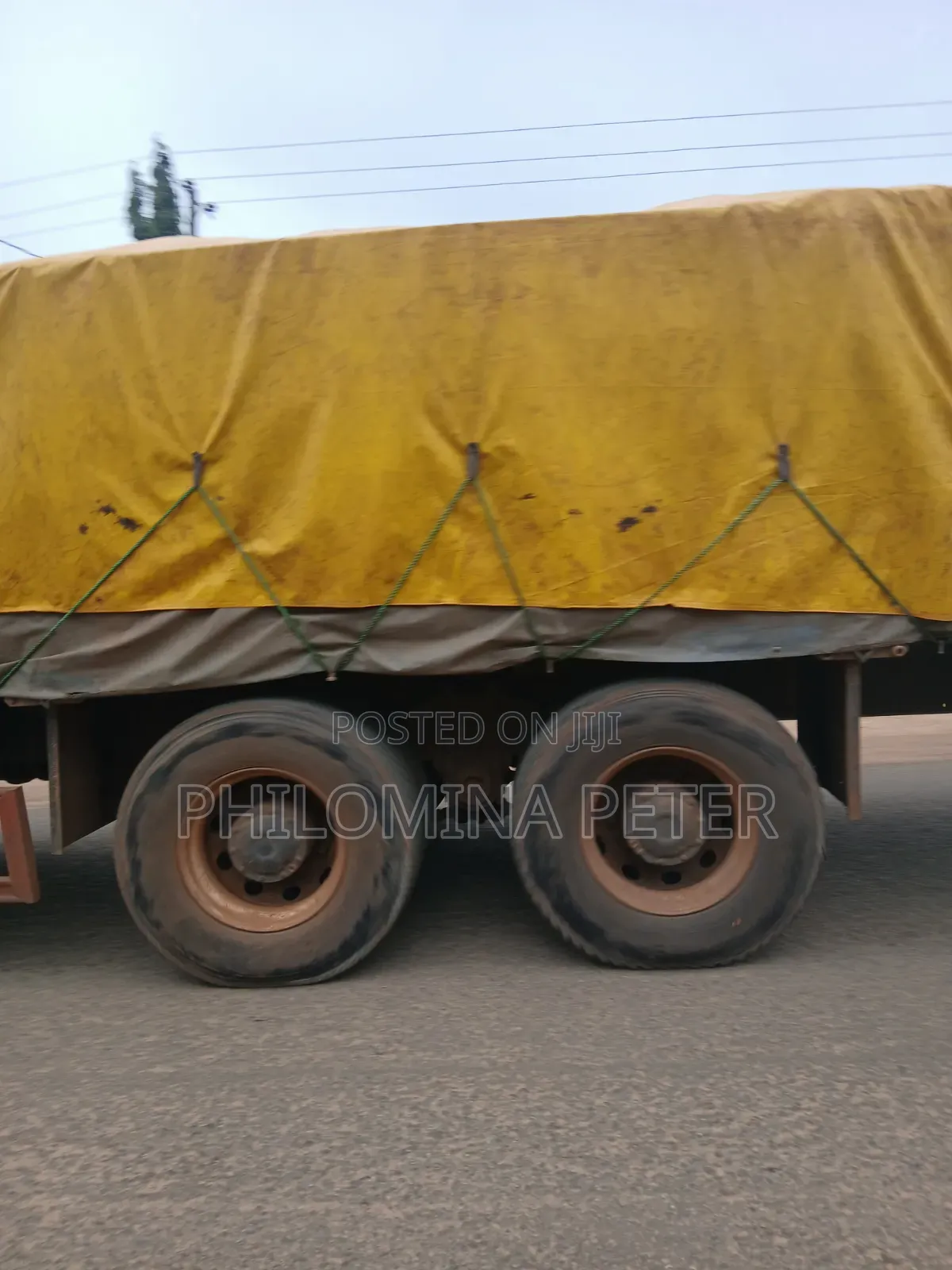 Dangote and Bua Cement Available