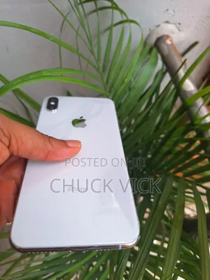 Apple iPhone XS Max 256 GB Silver