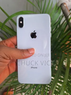 Apple iPhone XS Max 256 GB Silver