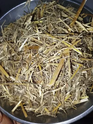 Oatstraw Dried Herb (100g)