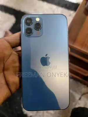Apple iPhone 12 Pro 256 GB Gray