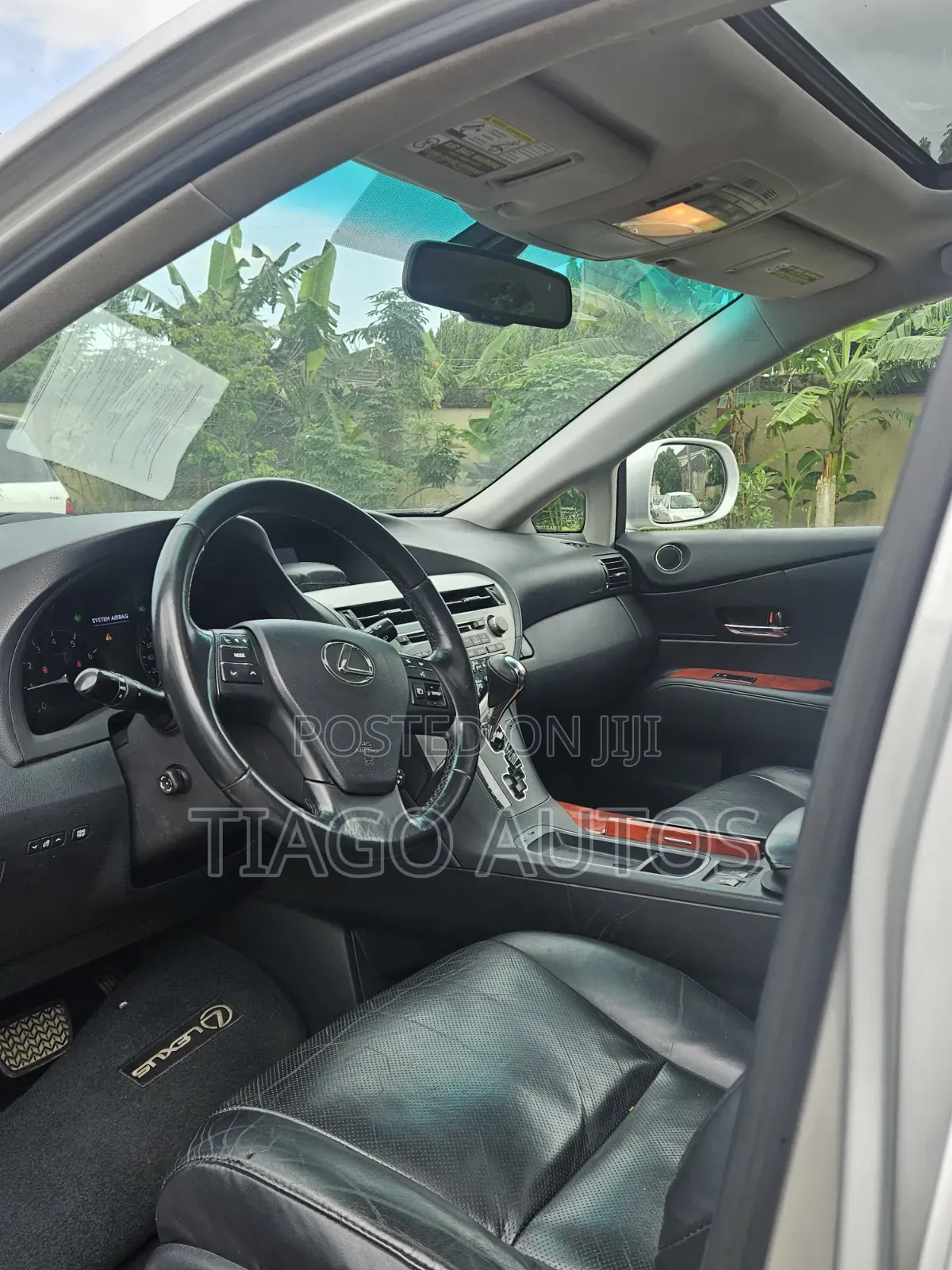 Lexus RX 2010 Silver