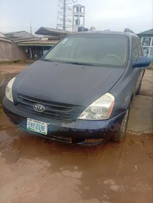 Kia Sedona 2007 Blue