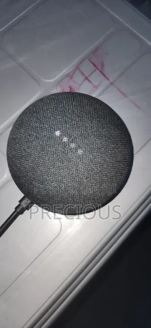 Google Nest Mini