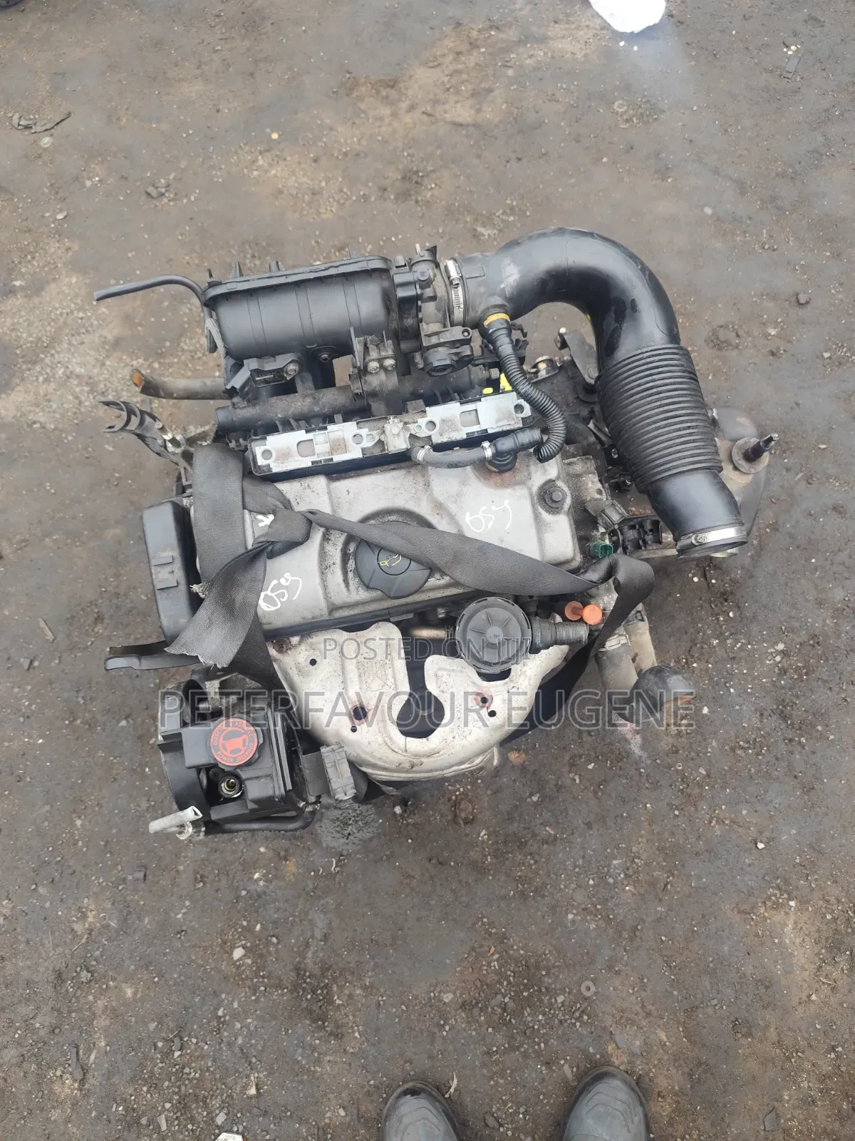 206 Turtle Cable Engine