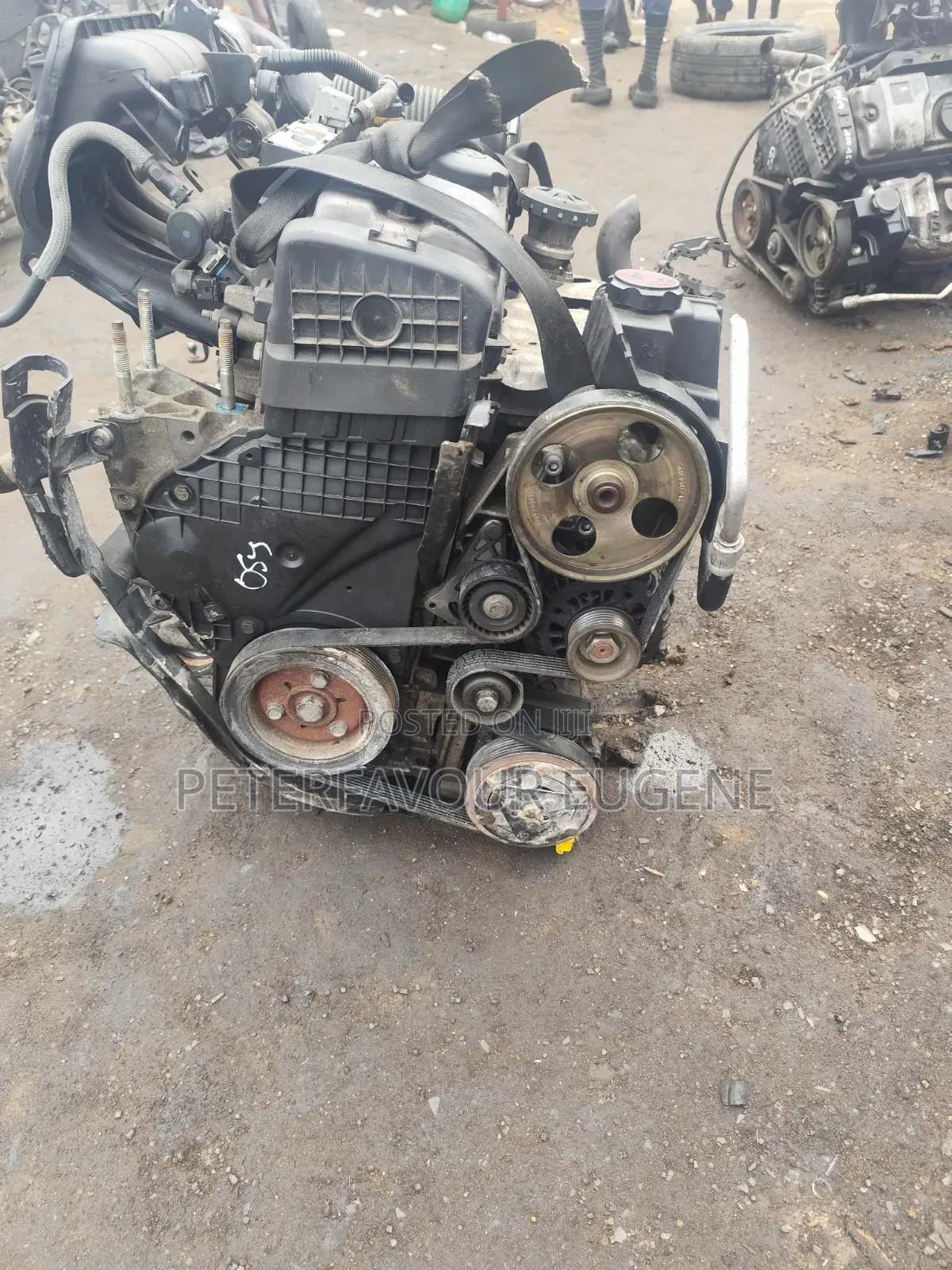 206 Turtle Cable Engine